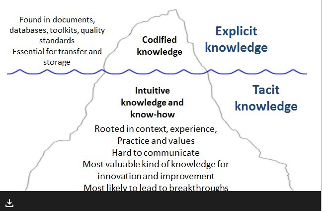 A useful typology of organisational knowledge | Memex 1.1